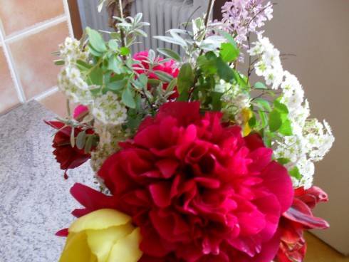 duben 2011 020.jpg