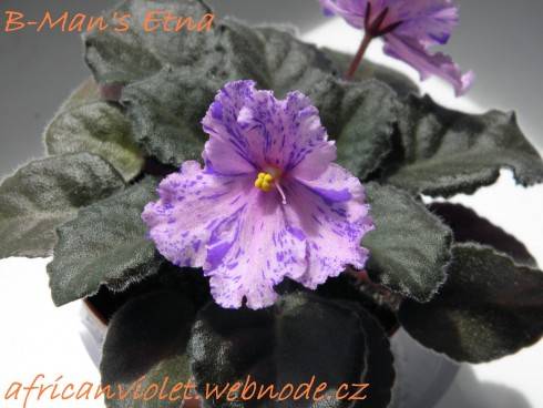 B-Man's Etna.jpg