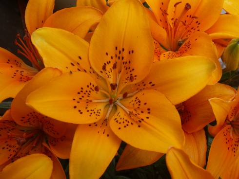 PICT0022.JPG
