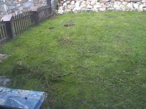 PICT0008.JPG