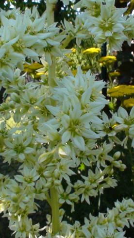 015.JPG