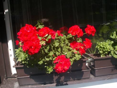 PICT0001.JPG