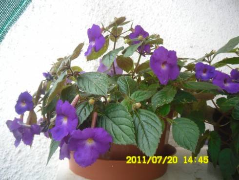 Snímek 1110.jpg