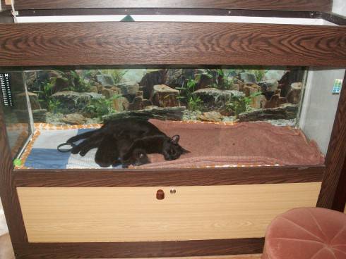 PICT0002.JPG